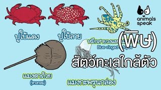 Animals Speak [by Mahidol] (พิษ) สัตว์ทะเลใกล้ตัว