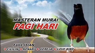 Download lagu 🔴 LIVE 6 - MASTERAN MURAI BATU MALAM HARI FULL ISIAN TEMBAKAN, MELATIH MURAI EMOSI BONGKAR ISIAN