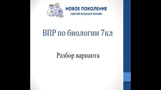 Биология. Разбор варианта ВПР по биологии 7 класс