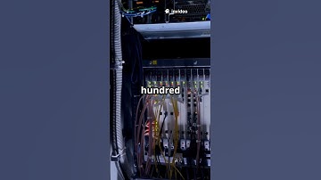 What if the internet vanished for 24 hours? 🛜🕔