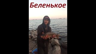 Беленькое , карп , плотва , рыбалка в Запорожье 2021