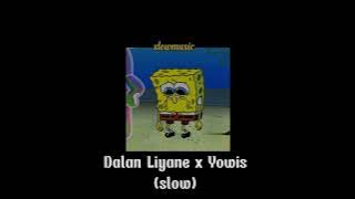 Dalan Liyane x Yowis (slow reverb)