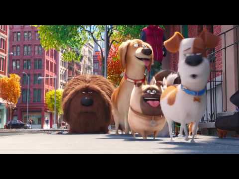 Тайная жизнь домашних животных – Русский трейлер #2 2016