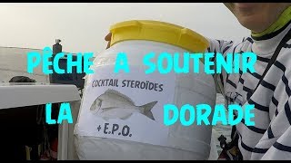 Amorce daurade Outlet