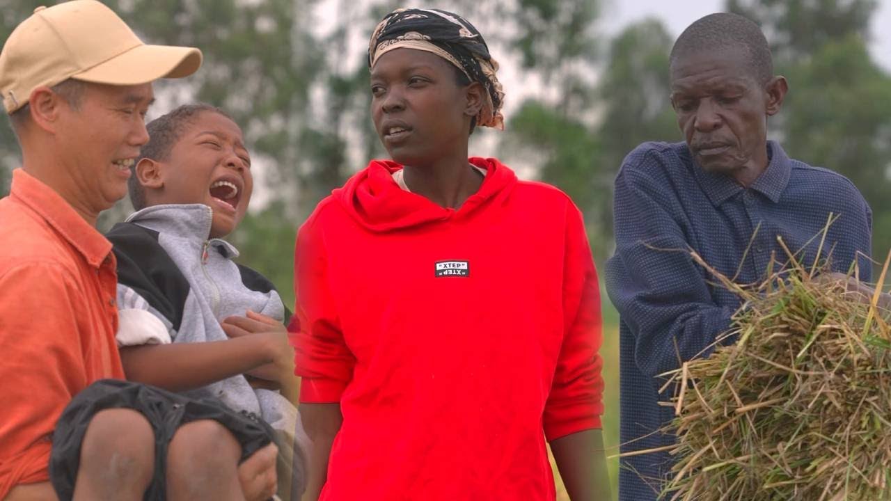 Вместе с мужем мы убрали рис для дома, занятый день.