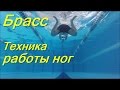 Техника ног брассом/ КАК НАУЧИТЬСЯ ПРАВИЛЬНО ПЛАВАТЬ/ How to learn to swim/ Плавание для каждого