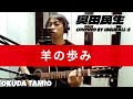奥田民生‐羊の歩み『アコギ弾き語り/カバー』