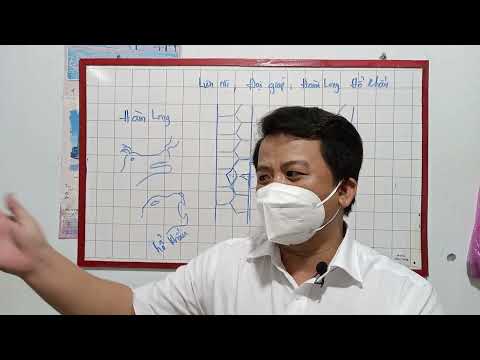 Video Phần bổ sung clip hướng dẫn về vảy do sự cố trong lúc... - youtube