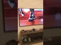 MBC Max Lady And The Dog S 