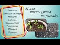 Посев пряных трав на рассаду (результаты посева смотрите в следующем видео)