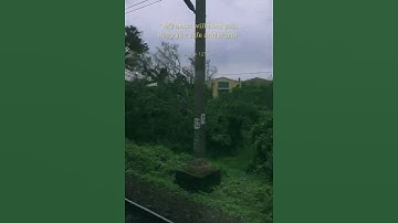 Thumbnail of "the journey of a thousand miles begins with a single step" -Lao Tzu. #nocopyrightmusic