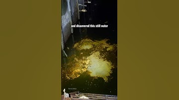 The Worst Still Water
