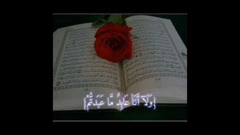 #ماهر_المعيقلي #سورة_الکافرون