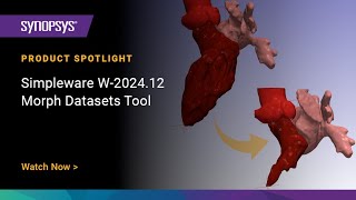 Simpleware W-2024.12 - Morph Datasets Tool