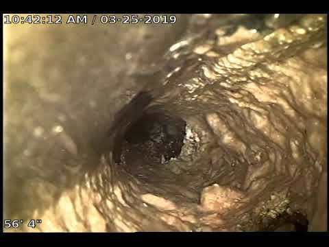 camera iphone 8 plus apk 2728 N Altamont Video 1 of 2