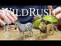 ガチャ「WILDRUSH 真·世界動物誌 第1章アフリカ·サバンナ編」開封〔海洋堂〕