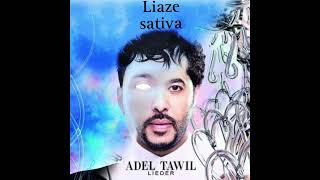 Adel Tawil Lieder X Liaze Sativa