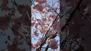 About Spring in Japan 🇯🇵 #japantravel #shorts