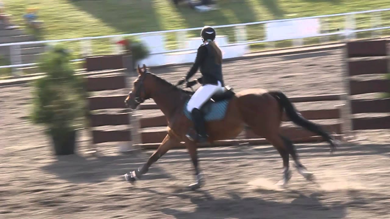 Jak skakać przez przeszkody?