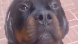 "no one talks in game chat anymore"