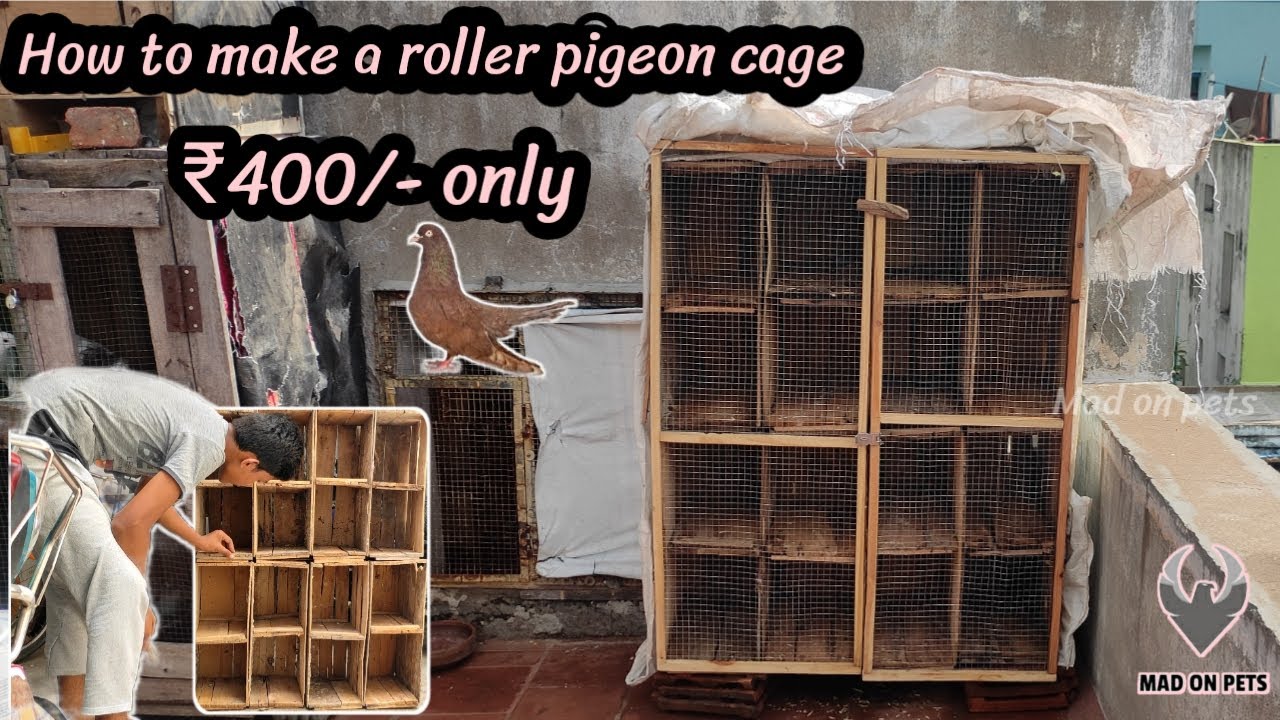 How to make a roller pigeon cage | tamil | Rs.400 only | pigeons | mad on pets