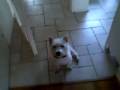 Winja's Tricks