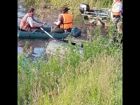Спасали и собак и кошек. Наводнение Тулун.июнь.2019