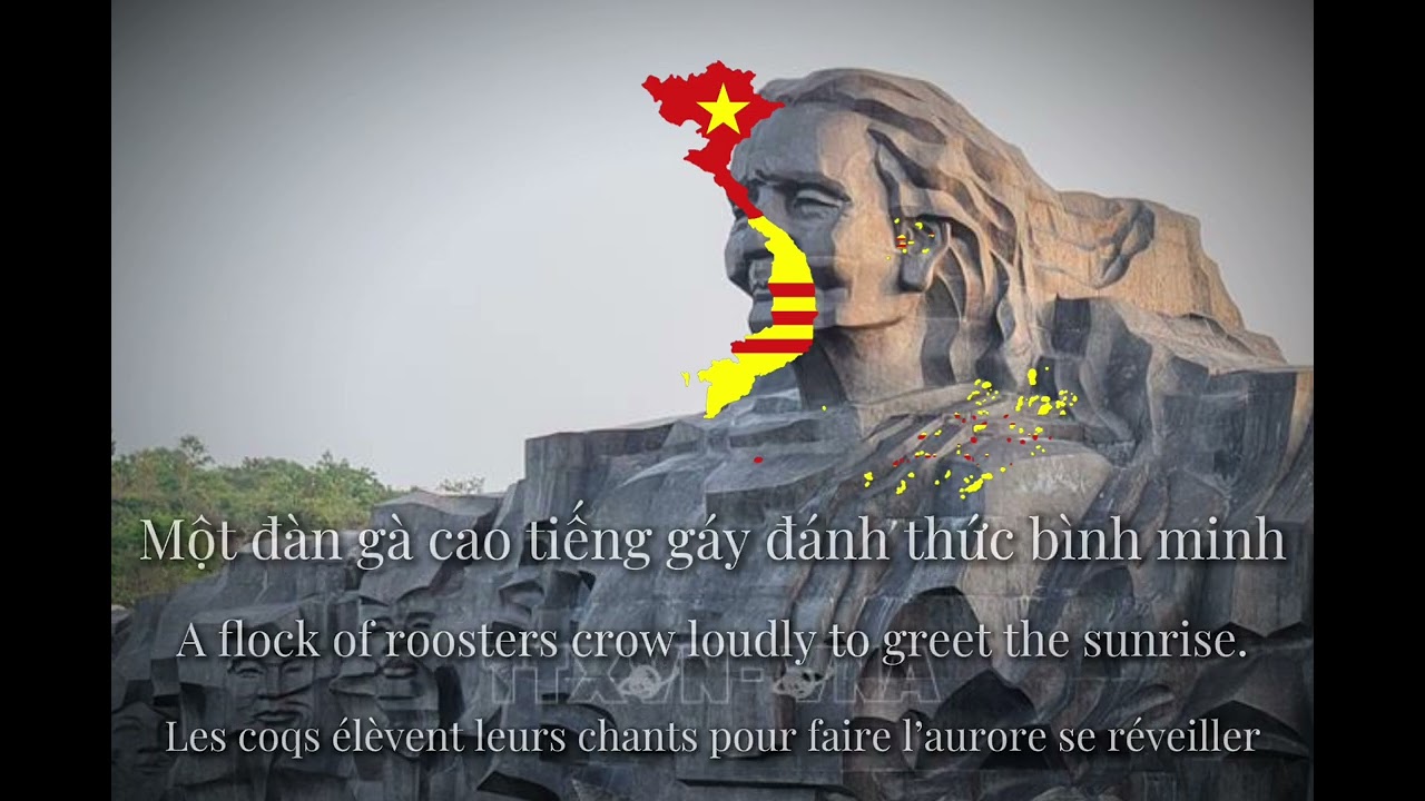 (What have I seen tonight?) Ta đã thấy gì trong đêm nay | Vietnamese Anti war song (Lyrics)