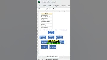 Bikin Struktur Organisasi di Excel Ternyata Semudah Ini! 😱 #ExcelTips #Organisasi #Shorts