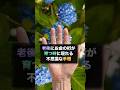 【この手相あったら】70歳の女性の手のひらに、老後の通帳の桁が返ってくる線が3本ありました仏眼相があったかたは、コメント欄で「仏眼相ありがとう」と教えてください#手相 #手相占い #老後 #70歳