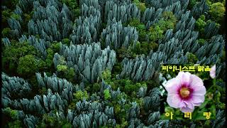 YK25 : 아리랑 – 피아노:맑음(2017년 씨씨엠허브 Digital음반)