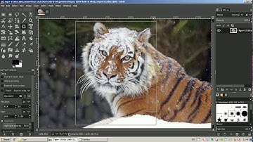 Gimp 2.10 - Crop and export image - Basics #1