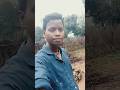 sangin disom|new santali short video 2025|dilu|#shorts