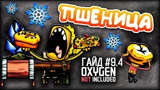 Oxygen not included - Морозная Пшеница + Приготовление - Гайд #9.4