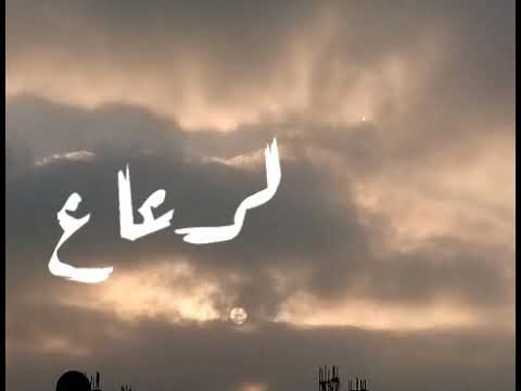 الاسد الرعاع حاله واتس