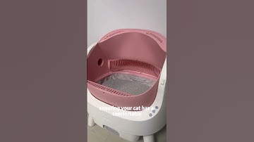 🎀 Pink Autoscooper 11 – The Cutest Self-Cleaning Litter Box! 🐾💖 #petpivot #cat#autoscooper11