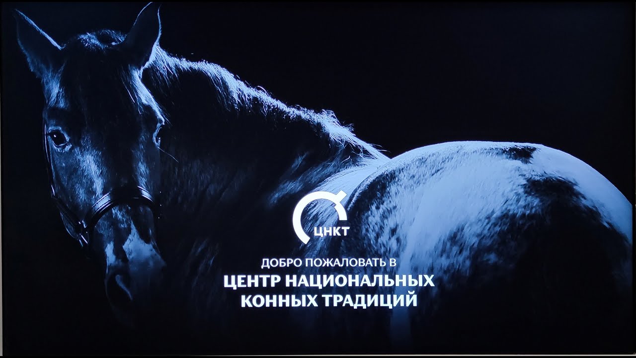 Центр конных традиций.  Выставка Россия.