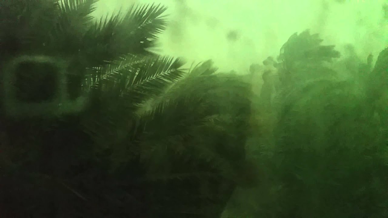 JVPaints | Dancing Dates: during a storm in Oman