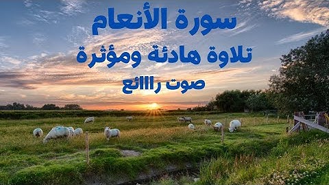 سورة الأنعام ..تلاوة هادئة ومؤثرة وبصوت رااائع.#قرآن#سورة #تلاوة_خاشعة #تلاوة_مؤثرة #quran #surah