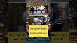 Ich werde sterben“: Herzergreifender Hilferuf eines jungen Mannes aus Gaza 🥺💔 #shorts #news