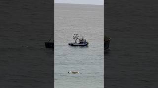 Download Lagu #HU #Boot #Baboz #jumper #hollandezët MP3