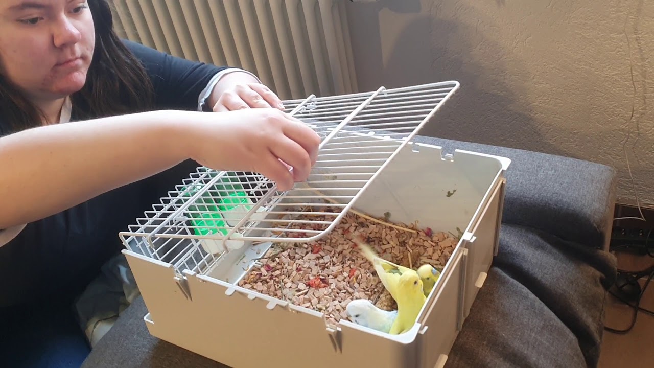 Die beste Transportbox!