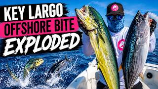 We Ran Offshore… Then THIS Happened