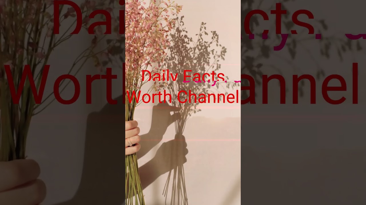 Daily Facts Worth Channel Welcome