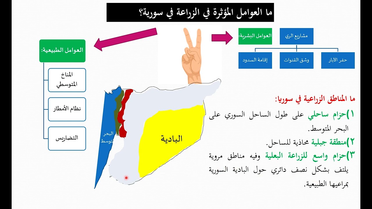 الدرس (19) جغرافيا - تاسع (الزراعة قلب الاقتصاد في سورية) 2026