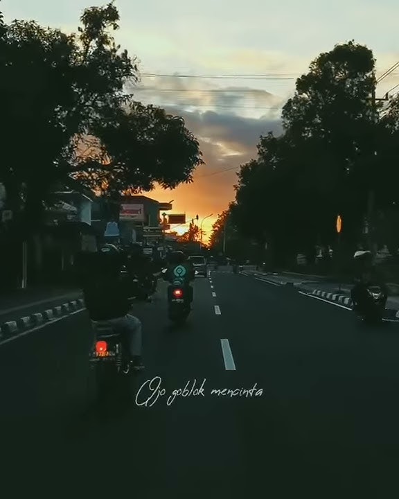 Story wa bu tedjo | ojo goblok mencinta |