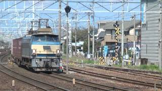 EF66 21牽引3091レ