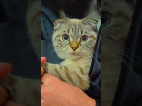 يازمن الصمت القاتل جاوب قلبي المجروح لايك وشتراك