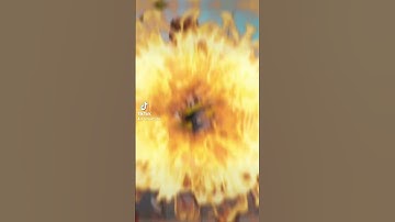 Apex WTF 😂 #apex #apexlegends #shorts #youtube #apex参加型 #apex女子