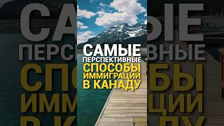 Лучшие способы иммиграции в Канаду в 2024 году